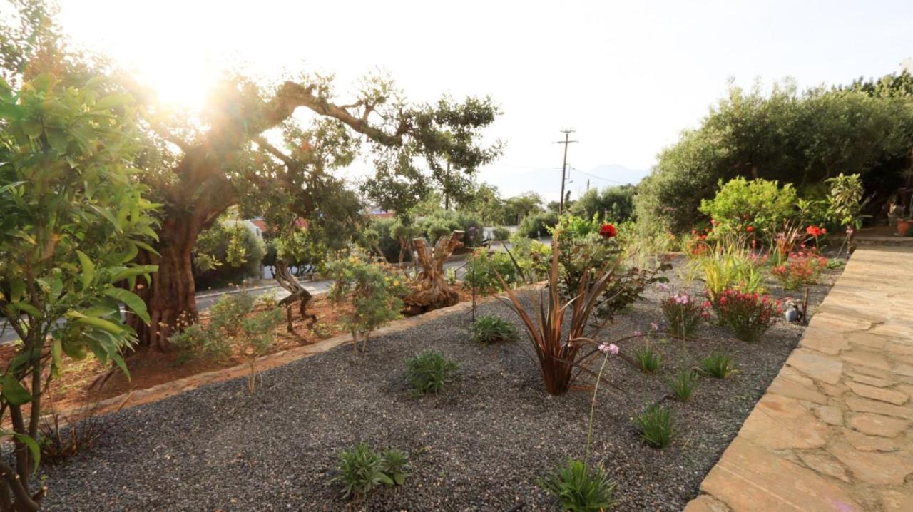 Comfortable Apartment With Garden - Casa Con Vista Havania エクステリア 写真