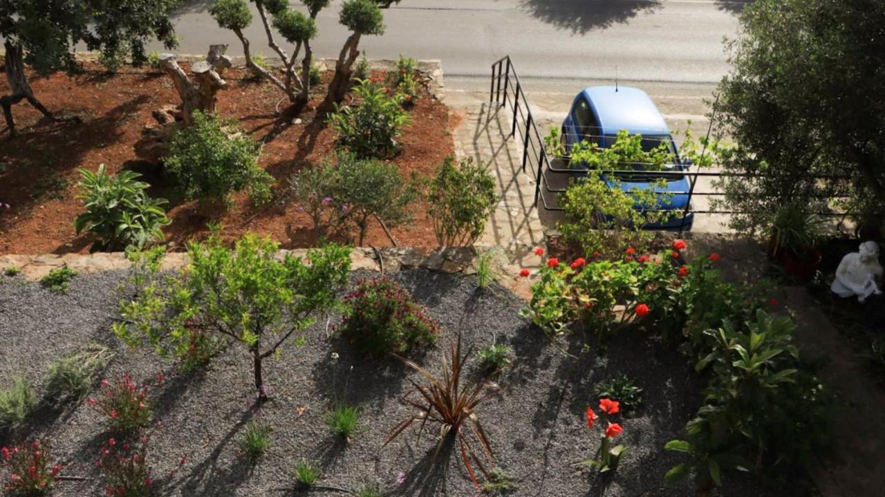 Comfortable Apartment With Garden - Casa Con Vista Havania エクステリア 写真