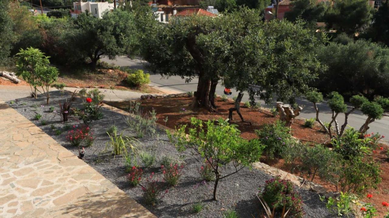 Comfortable Apartment With Garden - Casa Con Vista Havania エクステリア 写真