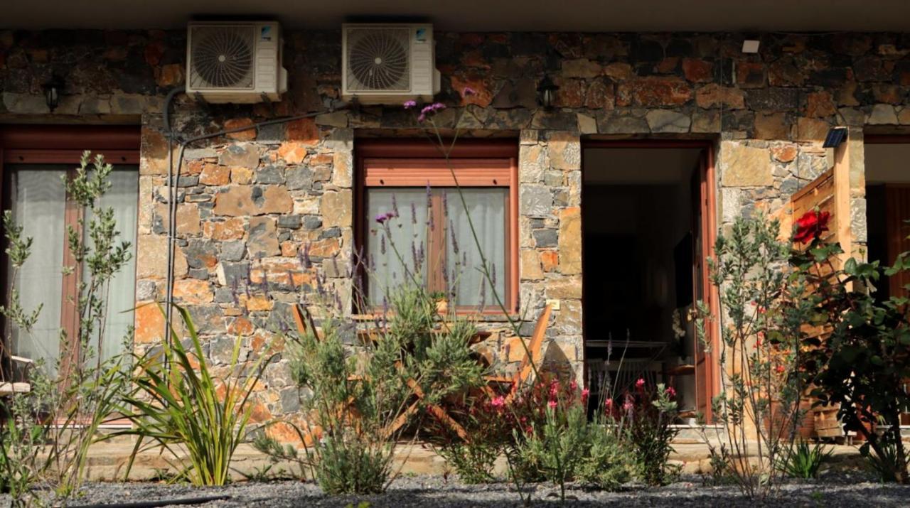Comfortable Apartment With Garden - Casa Con Vista Havania エクステリア 写真