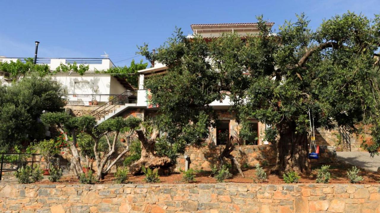 Comfortable Apartment With Garden - Casa Con Vista Havania エクステリア 写真