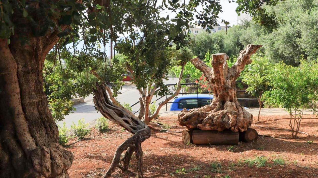 Comfortable Apartment With Garden - Casa Con Vista Havania エクステリア 写真